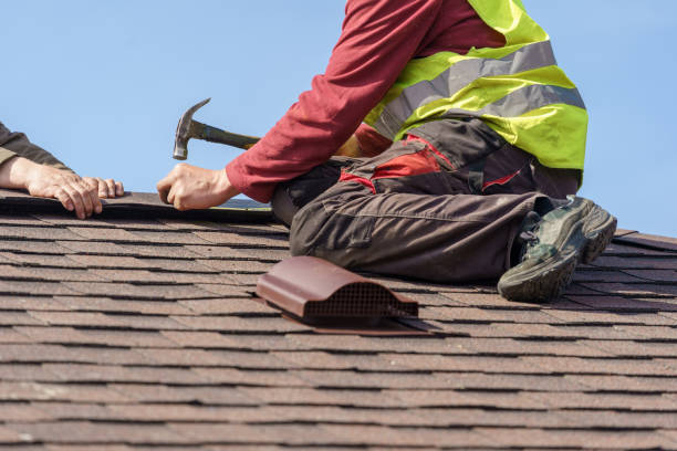 Best Residential Roofing Contractor  in Unalaska, AK